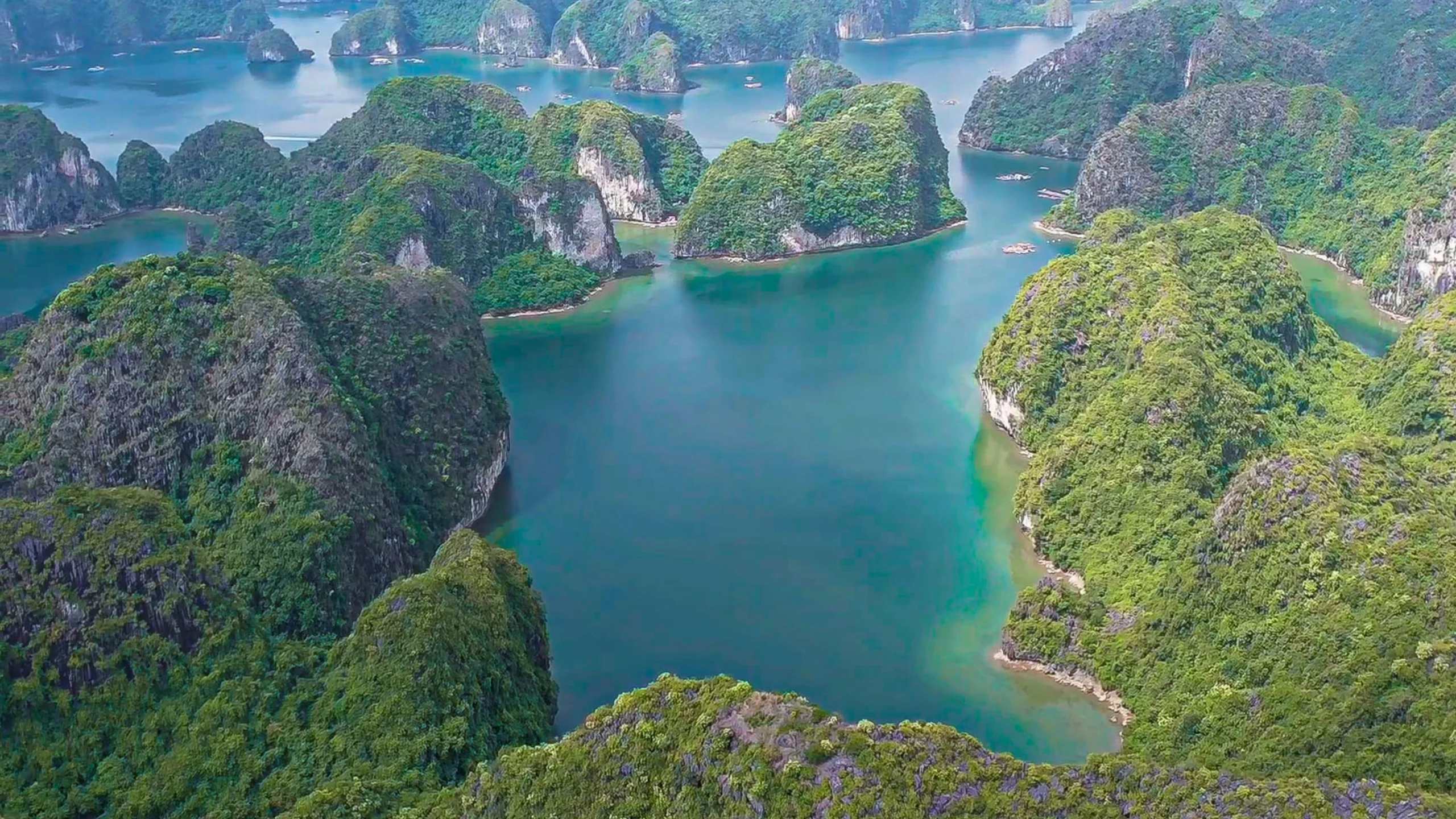 Du lịch Cát Bà